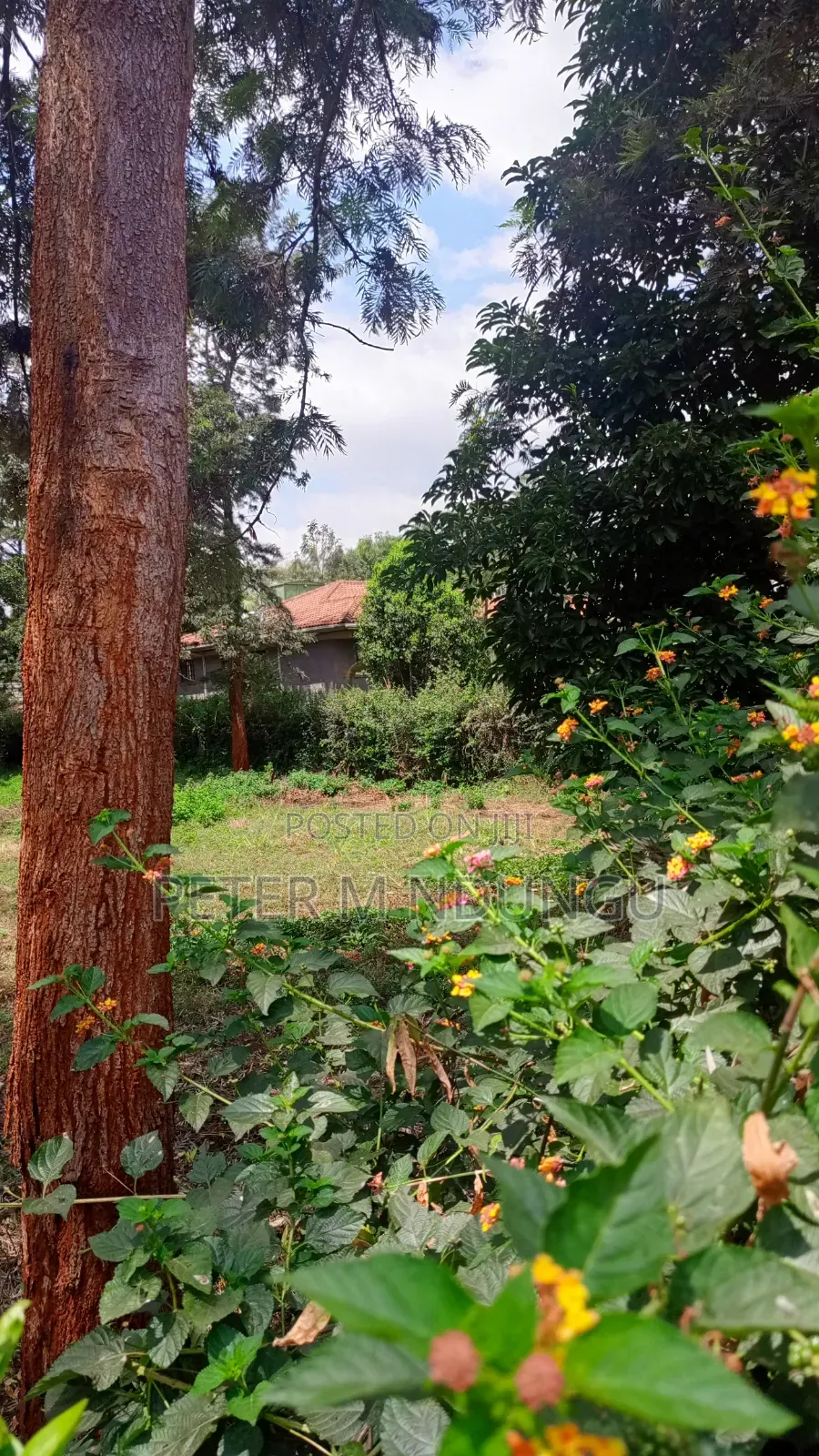 Runda Gardens-Prime Plot 1/2 Acre, Red Soil