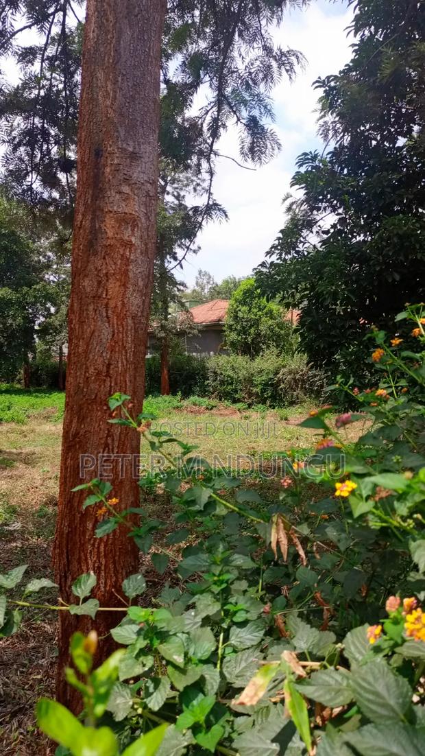 Runda Gardens-Prime Plot 1/2 Acre, Red Soil - thumbnail 7