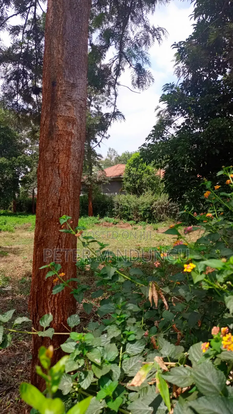 Runda Gardens-Prime Plot 1/2 Acre, Red Soil