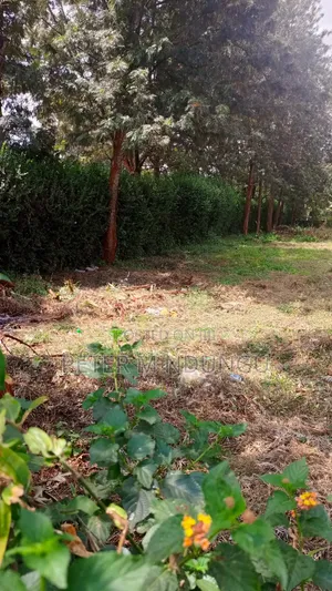 Runda Gardens-Prime Plot 1/2 Acre, Red Soil