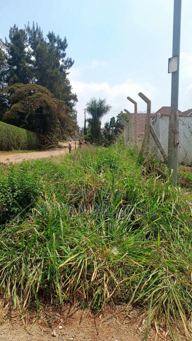 Runda Evergreen- Prime Residential 1/2 Acre With Title - thumbnail 2