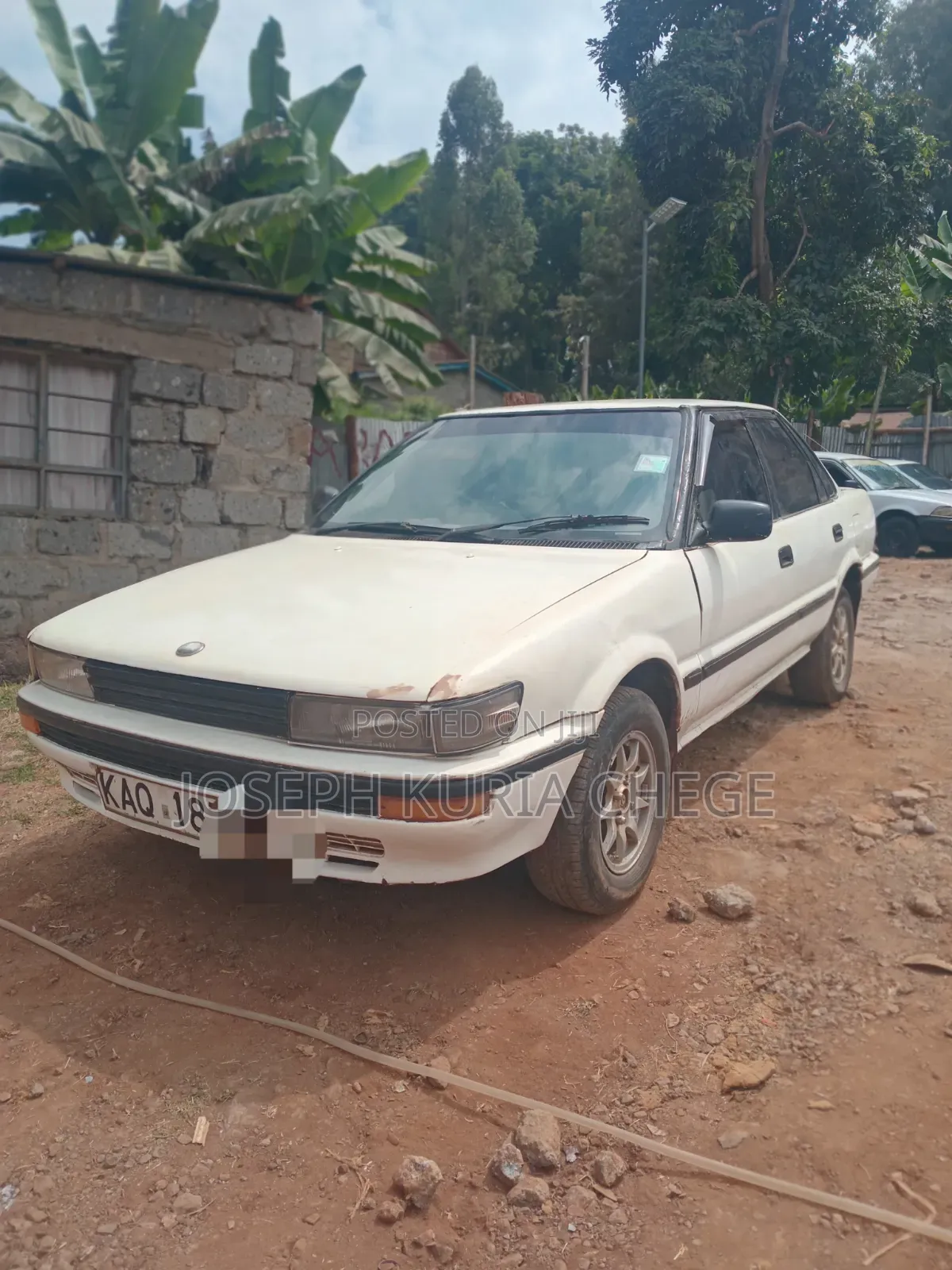 Toyota Corolla 1996 White
