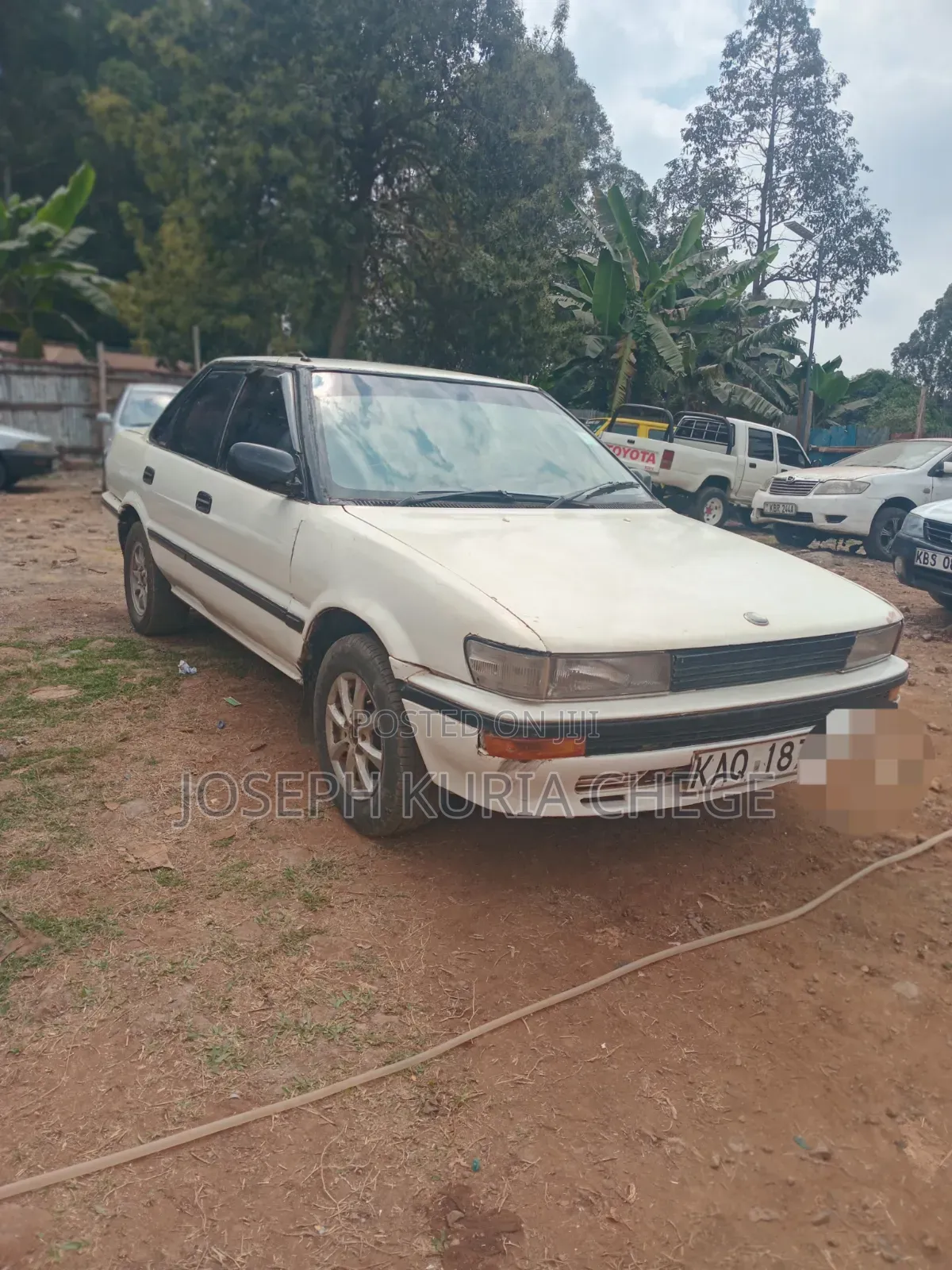 Toyota Corolla 1996 White