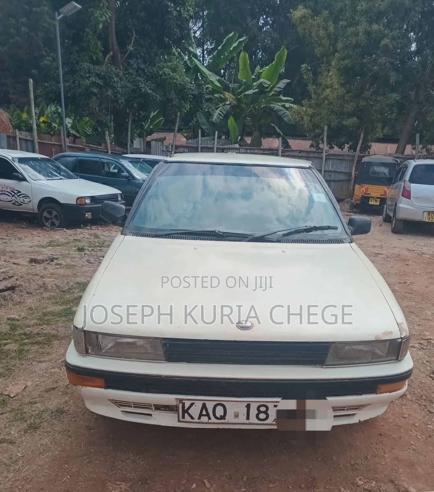 Toyota Corolla 1996 White