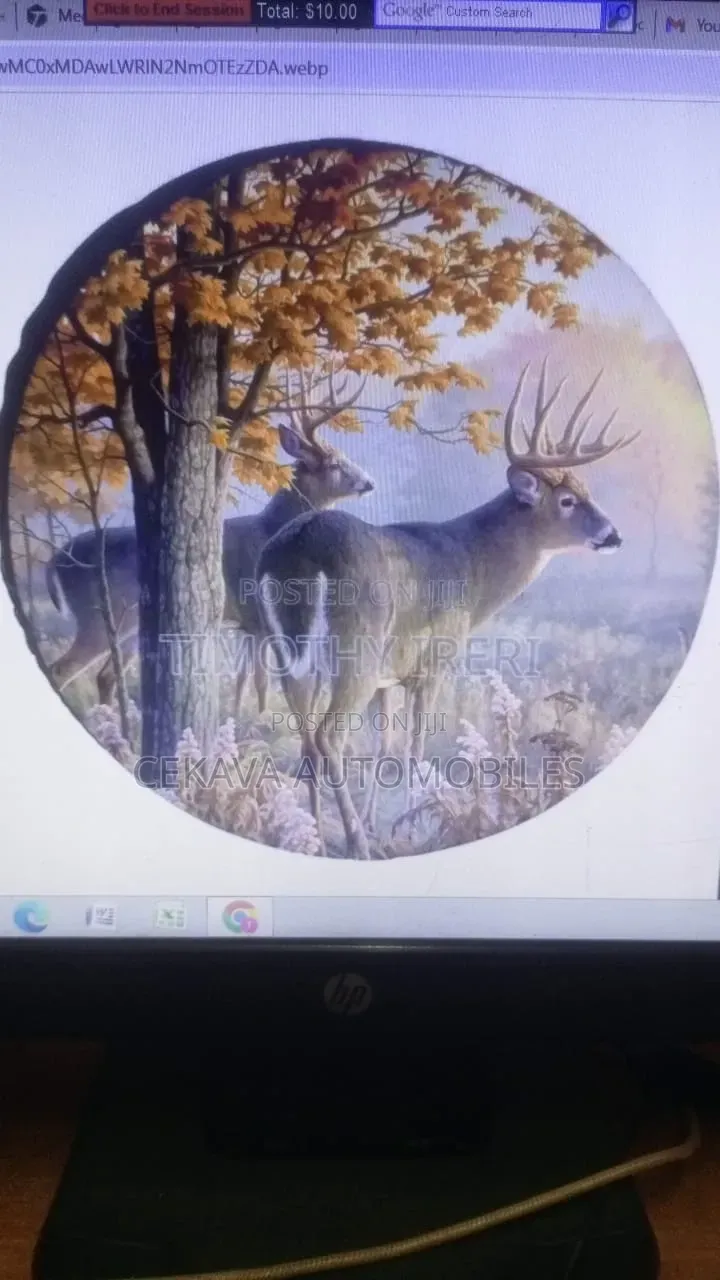 Printed Wheel Covers for All Vehicles and Suvs