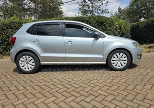 Volkswagen Polo 2011 Silver