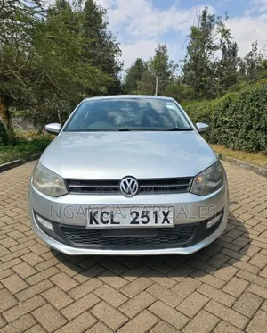 Volkswagen Polo 2011 Silver