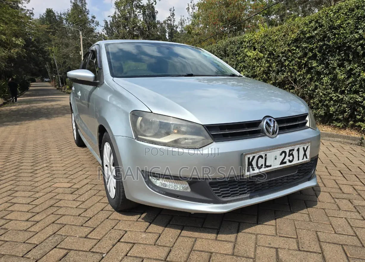 Volkswagen Polo 2011 Silver