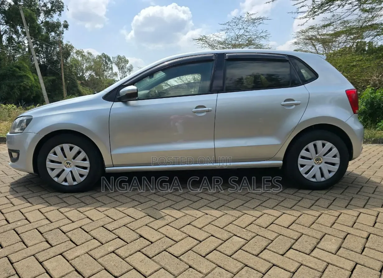 Volkswagen Polo 2011 Silver