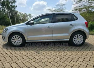 Volkswagen Polo 2011 Silver