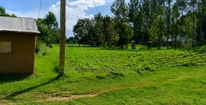 4 Acres for Sale in Khachonge, Bungoma