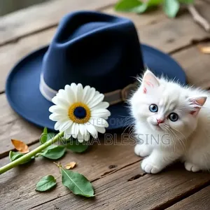 Fashion Navy Blue Fedora Hat