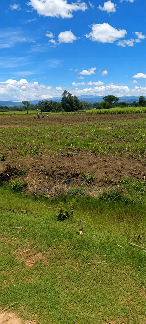 4 Acres for Sale in Khachonge, Bungoma