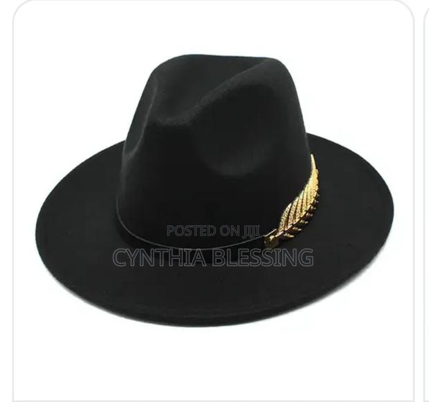Radiant Fedora Hats - main view