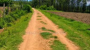 4 Acres for Sale in Khachonge, Bungoma