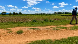 4 Acres for Sale in Khachonge, Bungoma