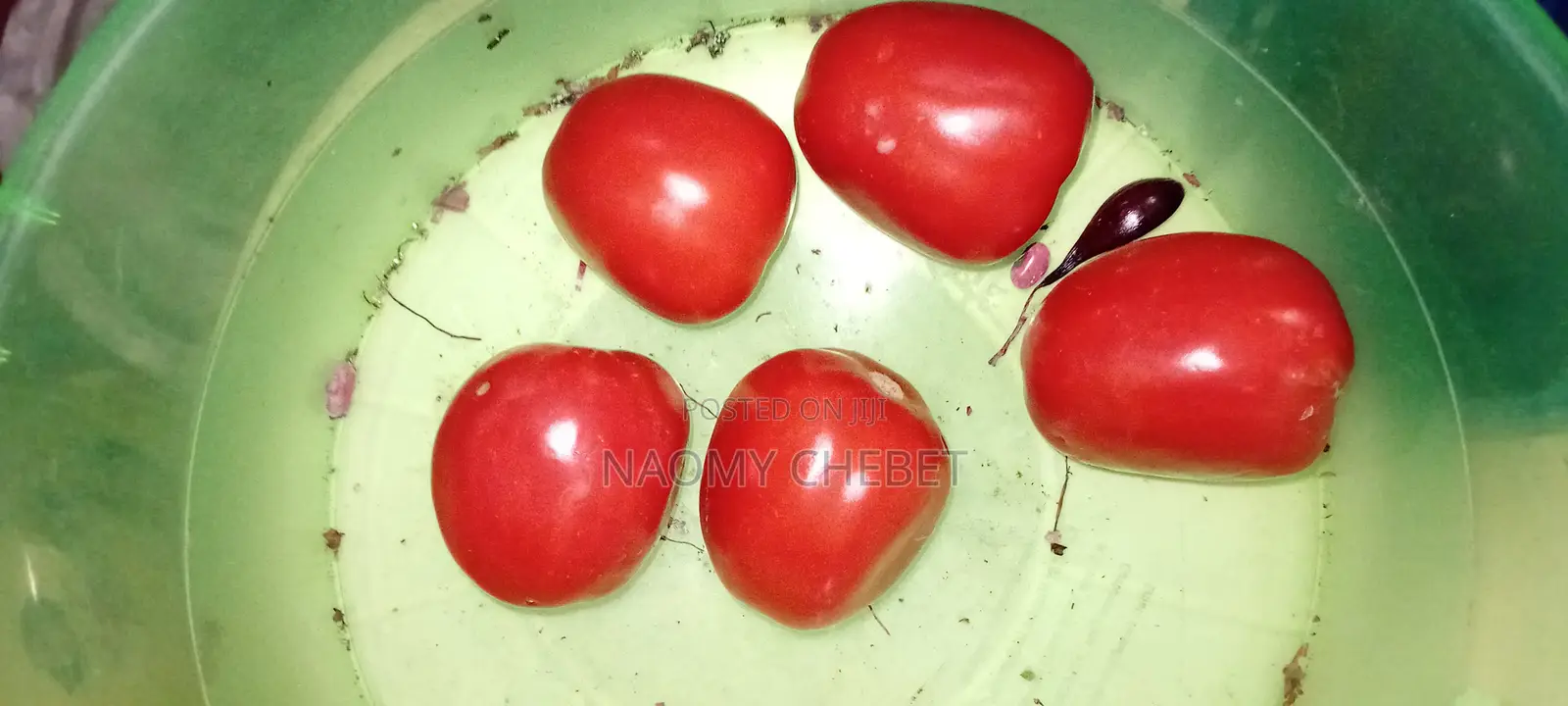 Quality Tomatoes