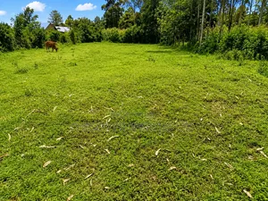 3 Acres for Sell in Mayanja Kibuke, BUNGOMA