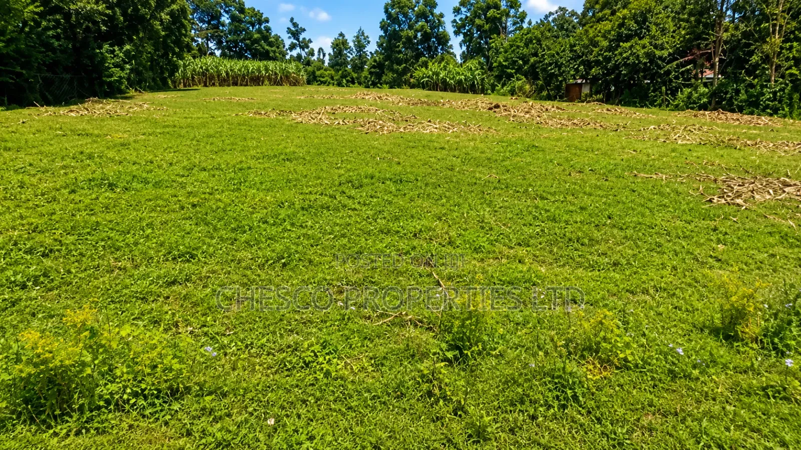 3 Acres for Sell in Mayanja Kibuke, BUNGOMA