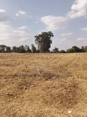 Land for Sell