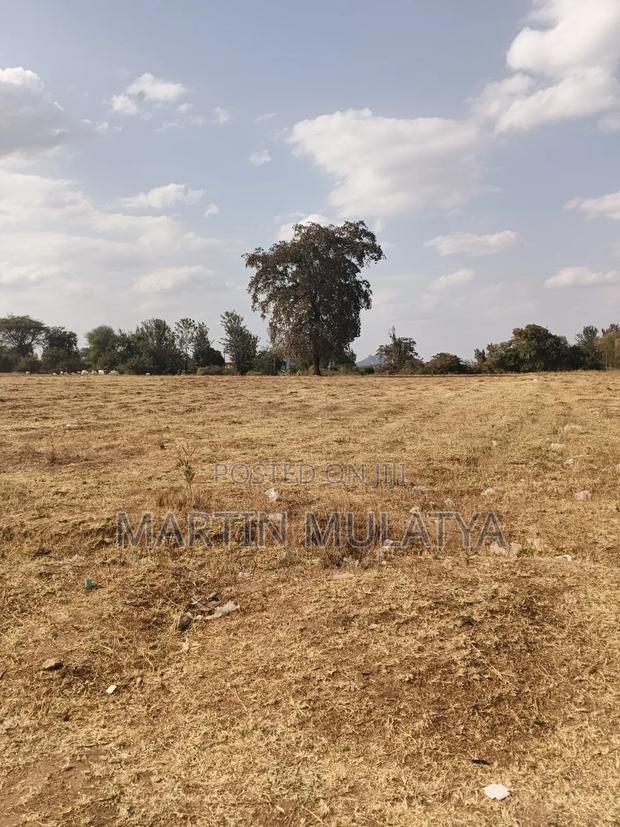 Land for Sell - thumbnail 2