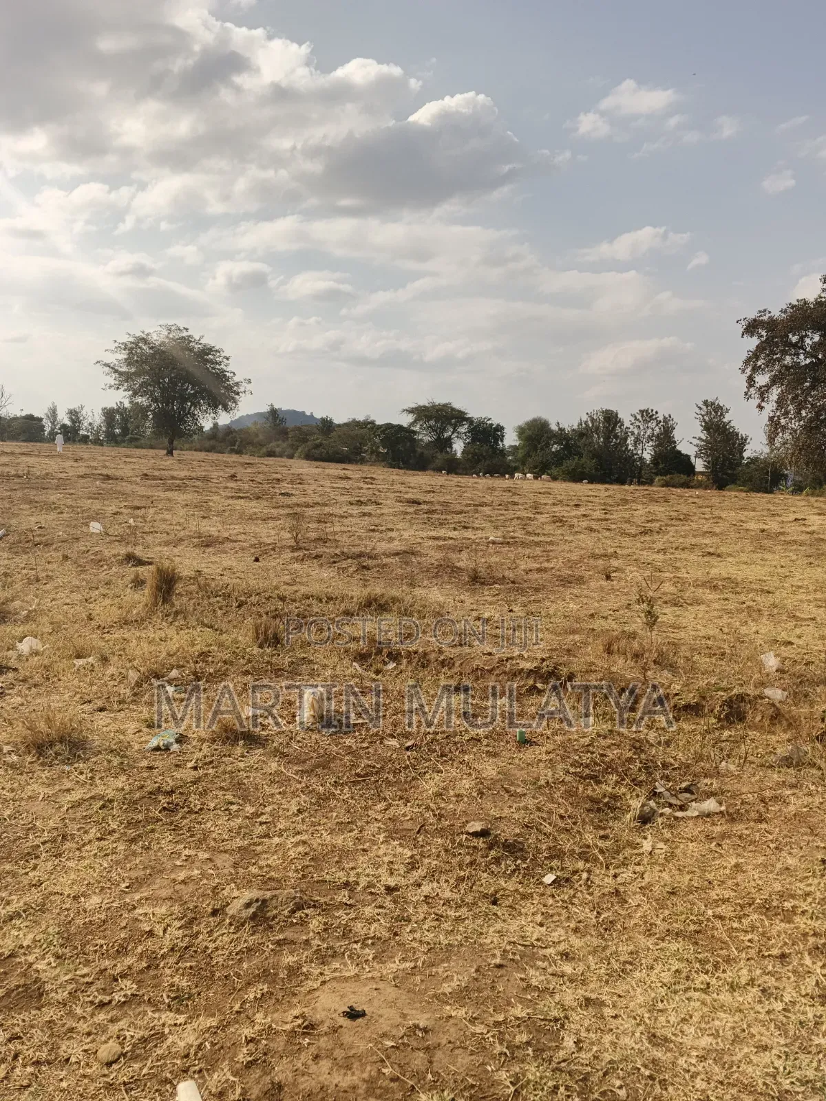 Land for Sell