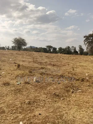 Land for Sell