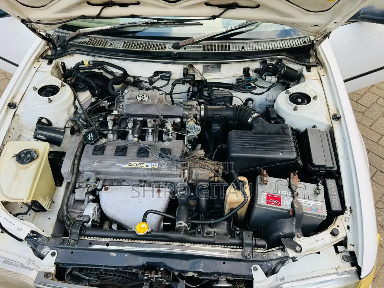 Toyota Corolla 1992 White