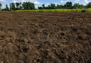 Half an Acre for Sale in Kabula, Bumula Constituency - Bungoma