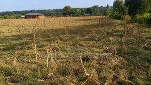Half an Acre for Sale in Kabula, Bumula Constituency - Bungoma