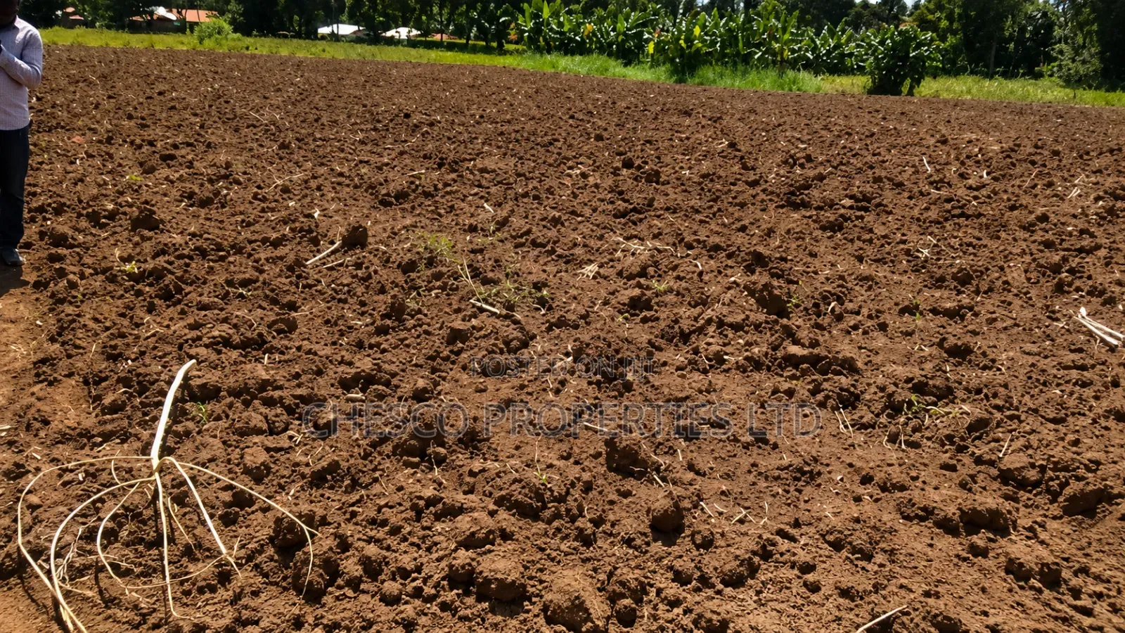 Half an Acre for Sale in Kabula, Bumula Constituency - Bungoma