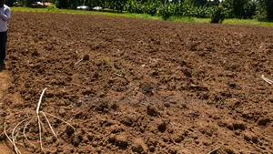 Half an Acre for Sale in Kabula, Bumula Constituency - Bungoma
