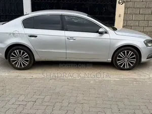 Volkswagen Passat 2011 Silver