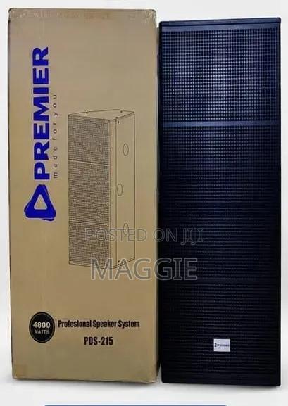 15" Double Professional Speaker System 4800w