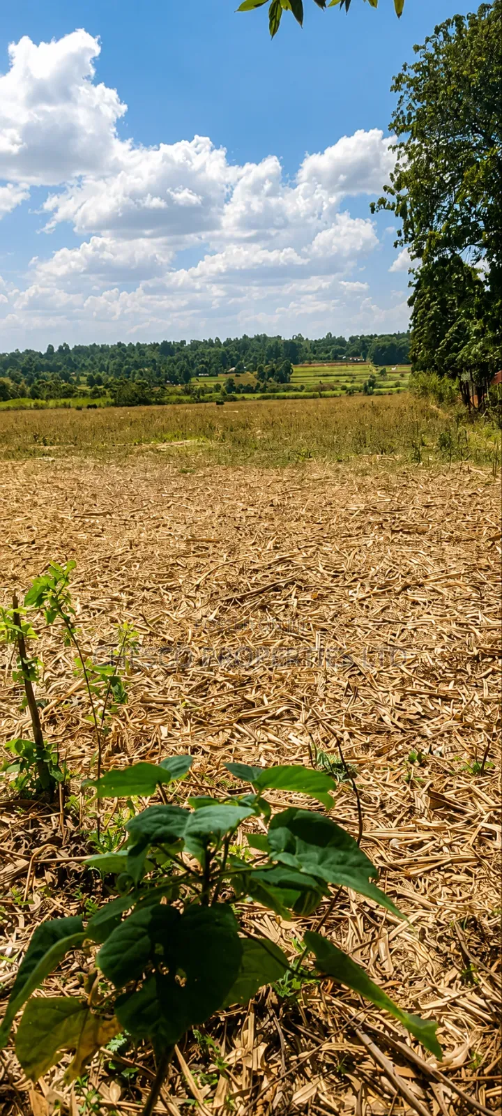 4 Acres for Sale in Mabanga - Bungoma