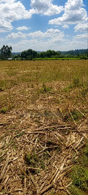 4 Acres for Sale in Mabanga - Bungoma