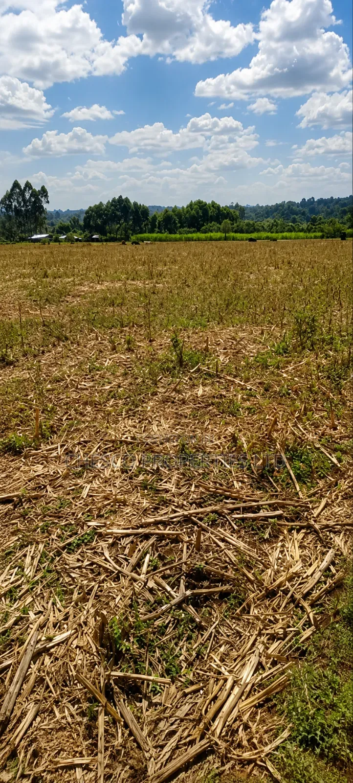4 Acres for Sale in Mabanga - Bungoma