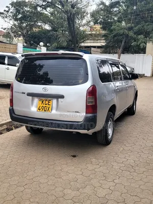 Toyota Probox 2010 Silver