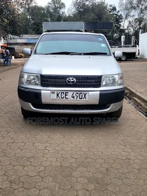 Toyota Probox 2010 Silver