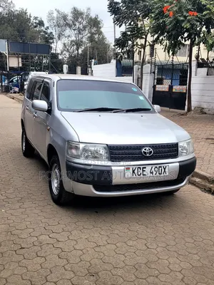 Toyota Probox 2010 Silver