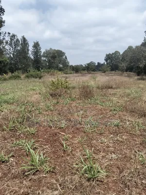 2.9 Acres Commercial Land on Sale at Kenol.