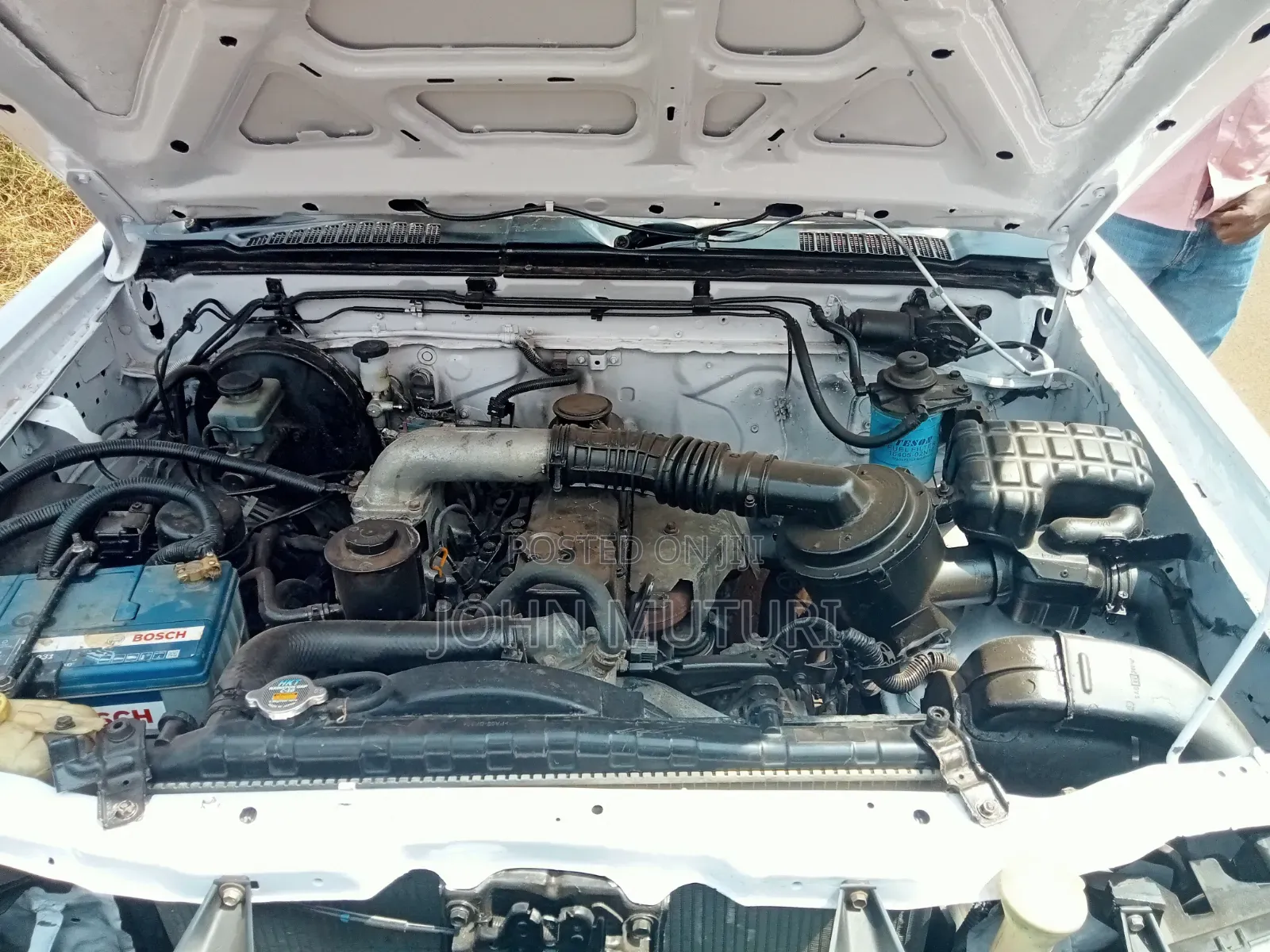 Nissan Hardbody 2008 White