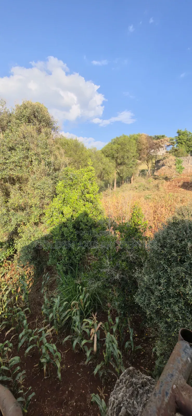 Plot for Sale in Ngong Kibiko