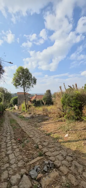 Plot for Sale in Ngong Kibiko