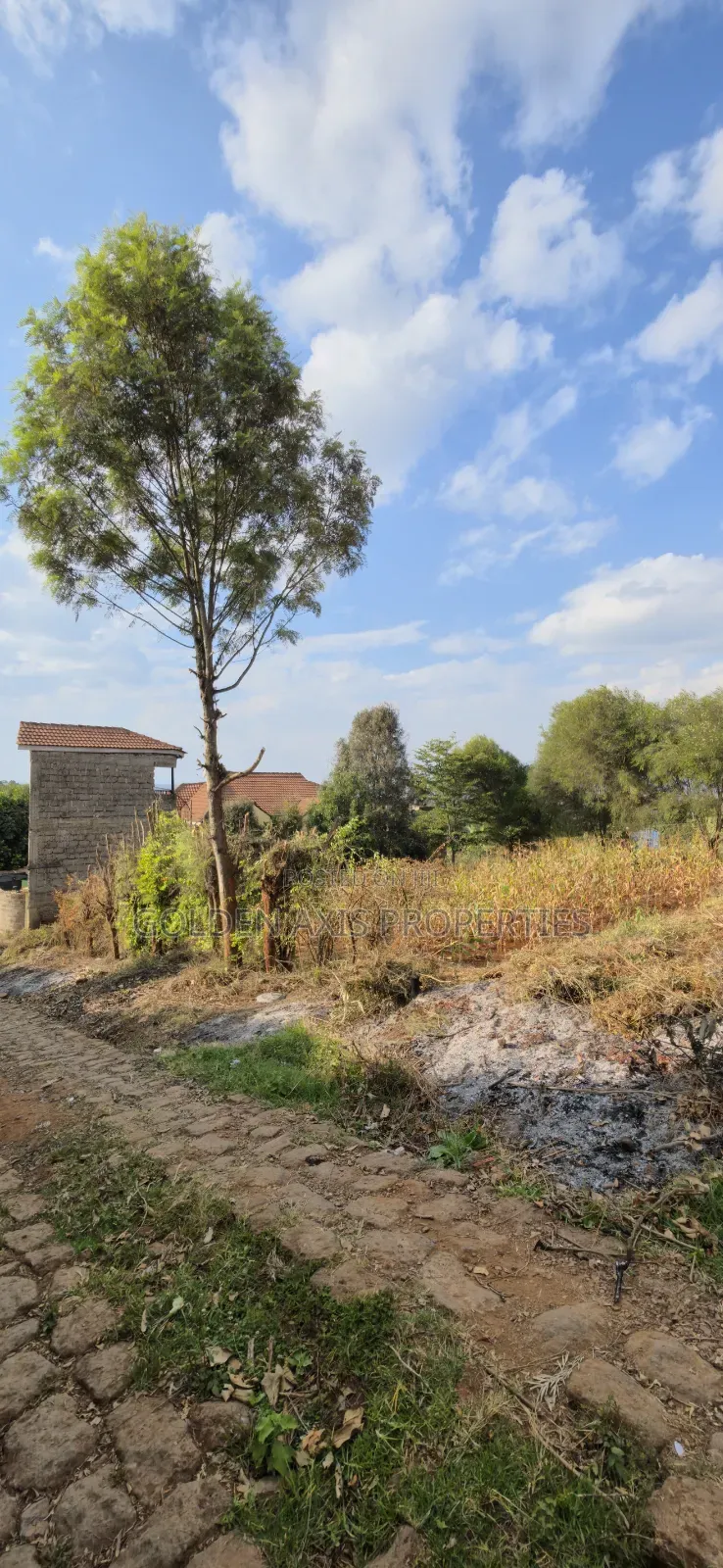 Plot for Sale in Ngong Kibiko