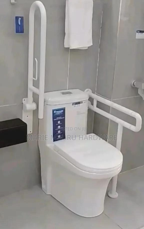 Toilet Disability