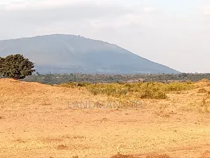 Juja Farm Mukuyunni