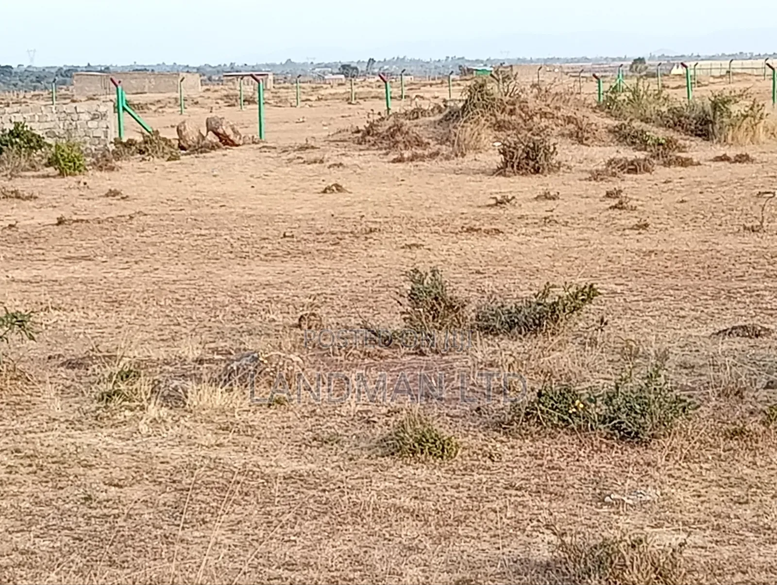 Juja Farm Mukuyunni