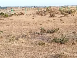Juja Farm Mukuyunni