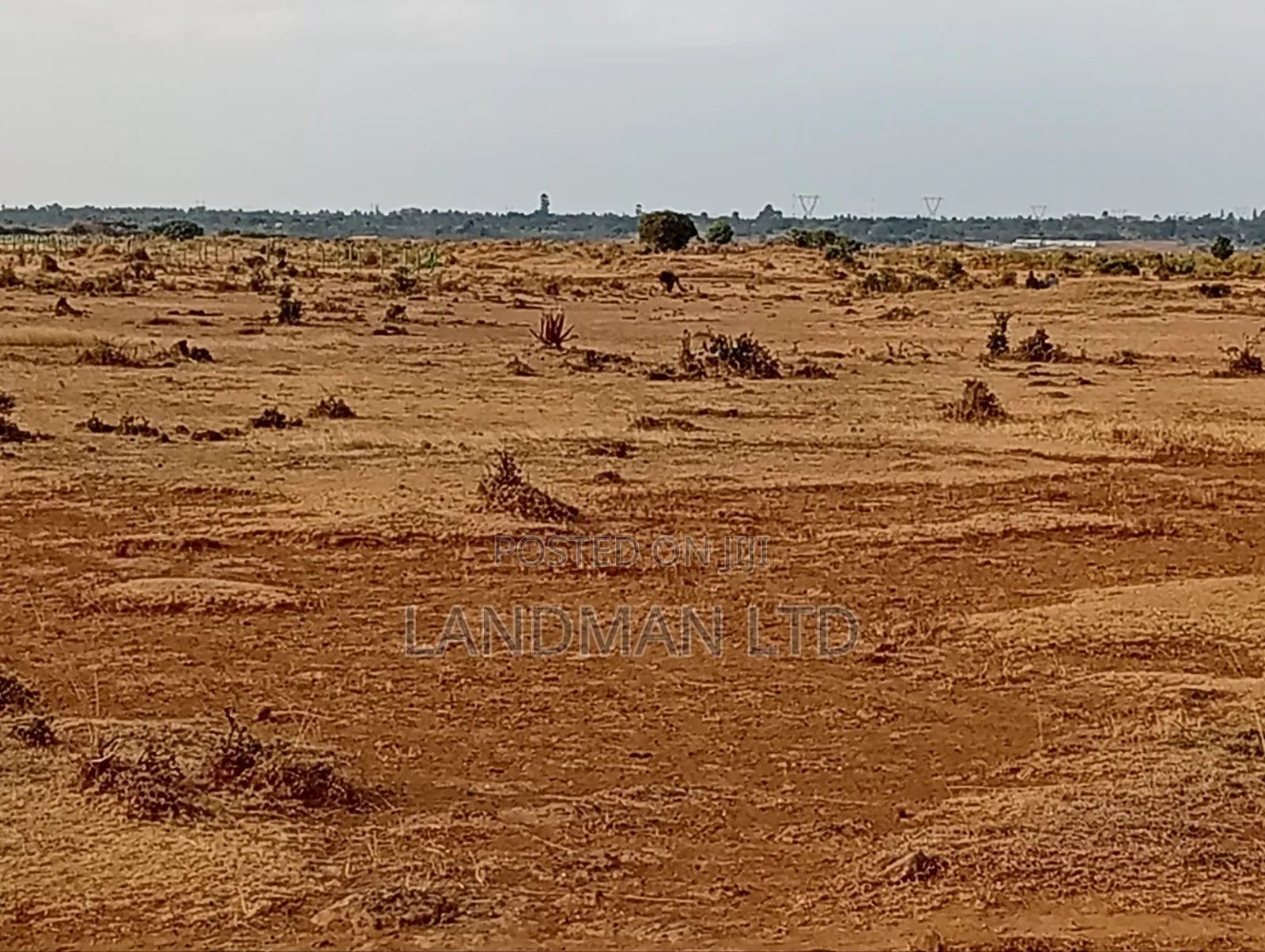 Juja Farm Mukuyunni